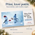 Dva sněhuláci si dávají vánoční dárek – novoročenka s nabídkou vlastního textu a loga.